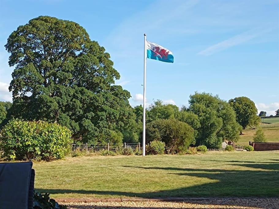 The West Wing At Eriviat Hall Hot Tub Henllan  エクステリア 写真
