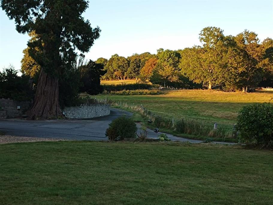 The West Wing At Eriviat Hall Hot Tub Henllan  エクステリア 写真