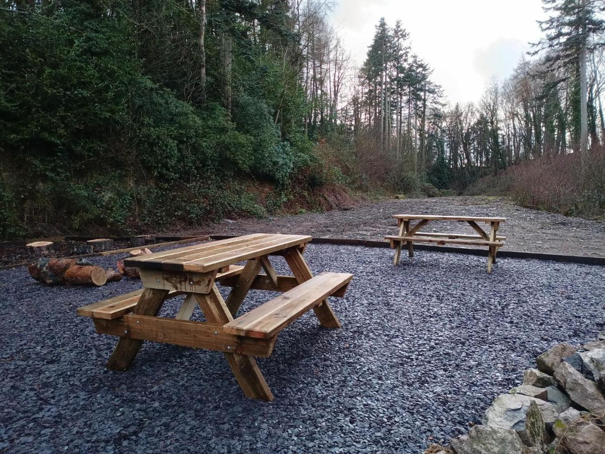 The West Wing At Eriviat Hall Hot Tub Henllan  エクステリア 写真