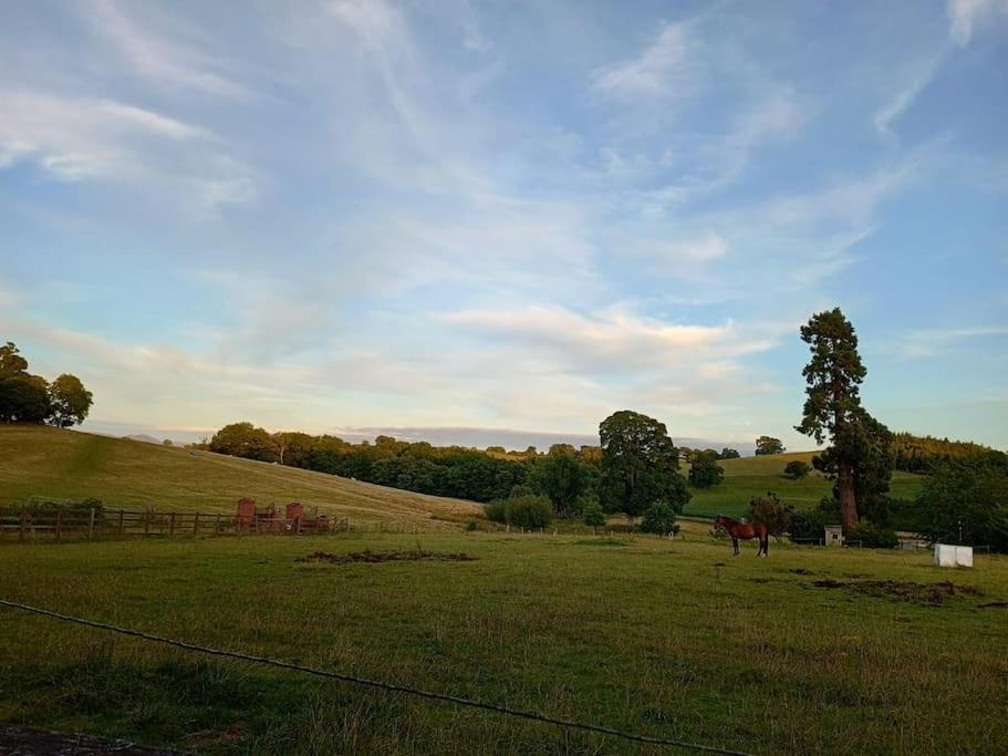 The West Wing At Eriviat Hall Hot Tub Henllan  エクステリア 写真