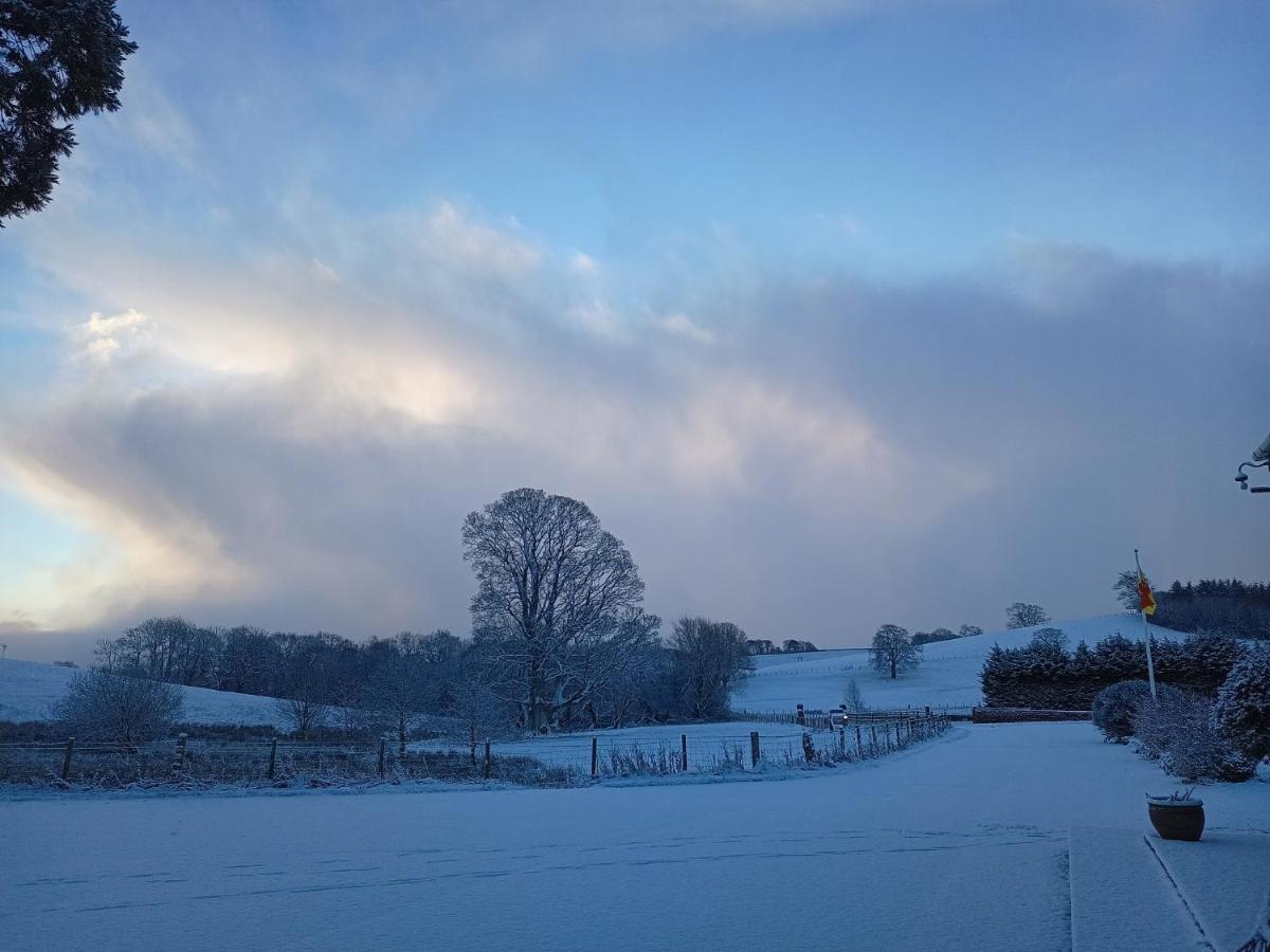 The West Wing At Eriviat Hall Hot Tub Henllan  エクステリア 写真