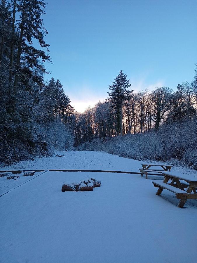 The West Wing At Eriviat Hall Hot Tub Henllan  エクステリア 写真