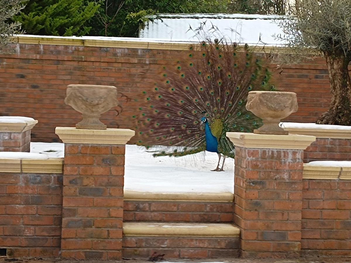 The West Wing At Eriviat Hall Hot Tub Henllan  エクステリア 写真