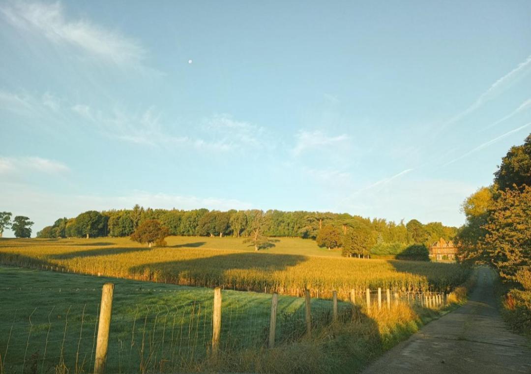 The West Wing At Eriviat Hall Hot Tub Henllan  エクステリア 写真