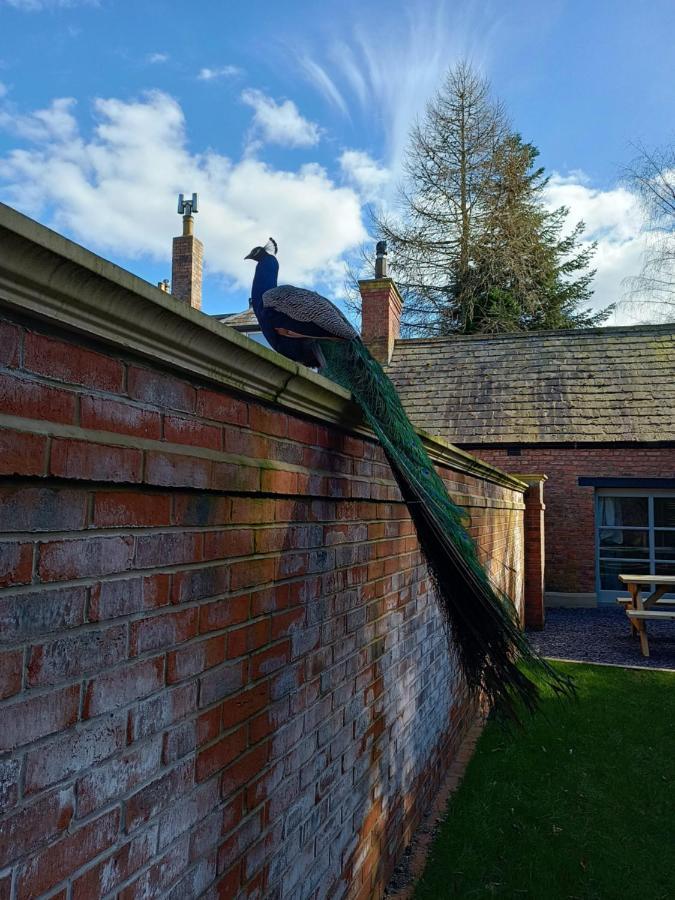 The West Wing At Eriviat Hall Hot Tub Henllan  エクステリア 写真