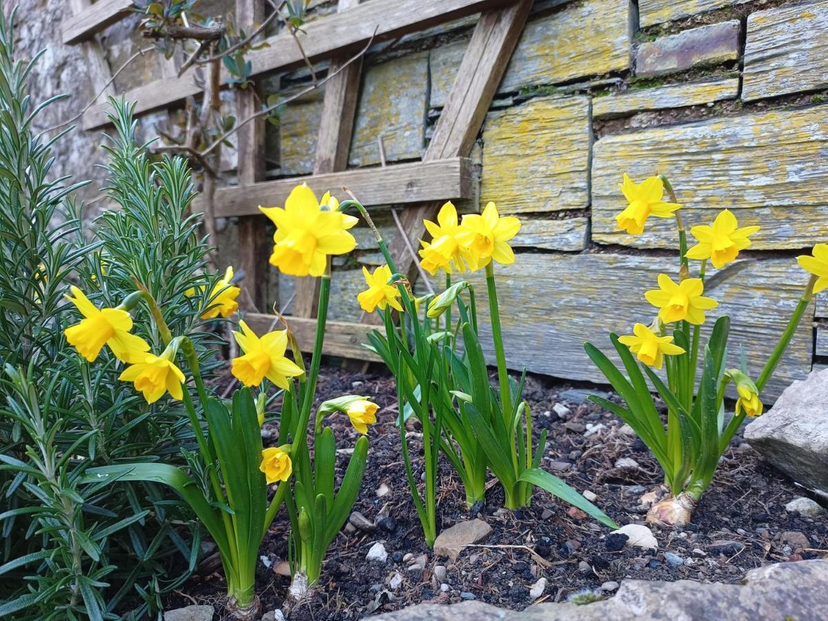 The West Wing At Eriviat Hall Hot Tub Henllan  エクステリア 写真