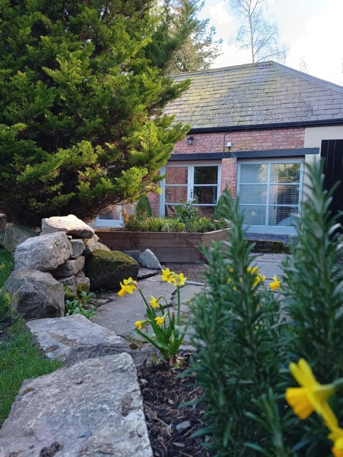 The West Wing At Eriviat Hall Hot Tub Henllan  エクステリア 写真